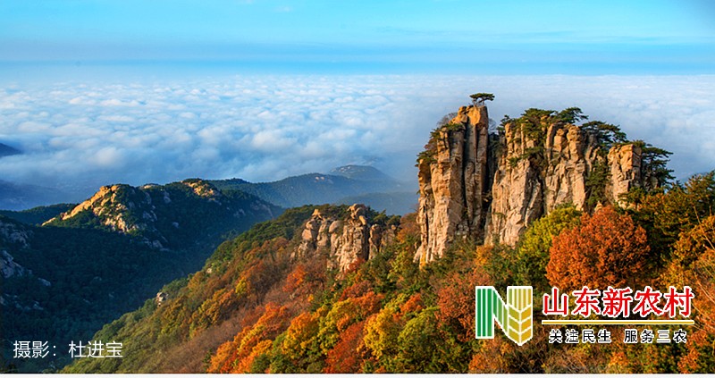 世间有两处桃花源，一处在你心里；另一处在山东蒙山！