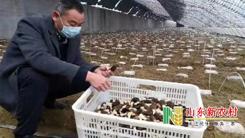 1662516156109880.jpg 发稿3.jpg