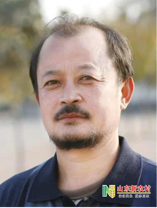 玉兔纳福 癸卯吉——邱立刚山水系列展作品欣赏