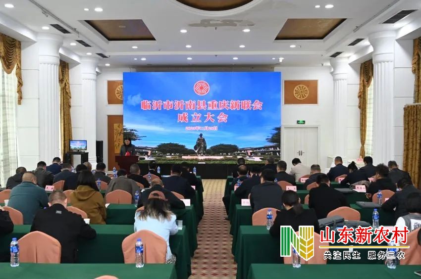山东省临沂市沂南县重庆新联会成立