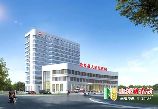金乡县：用文化“软实力”，涵养医院高质量发展“动力源”