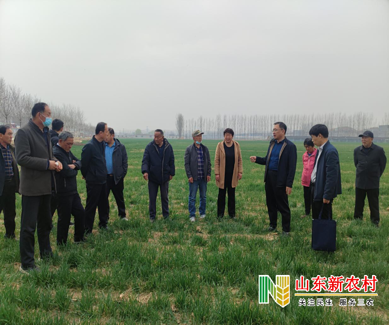梁山县积极开展高素质农民培育后续跟踪服务工作