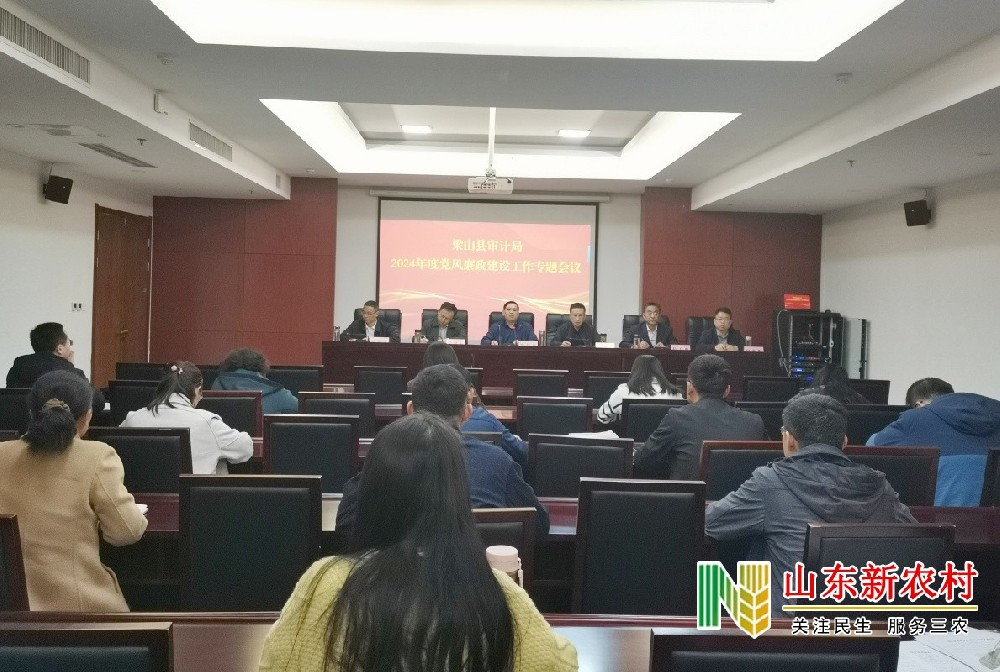 (第8期)梁山县审计局召开党风廉政建设专题会(1).jpg