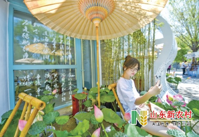 凸显泉水诗词文化 泉水书房落户济南百花洲