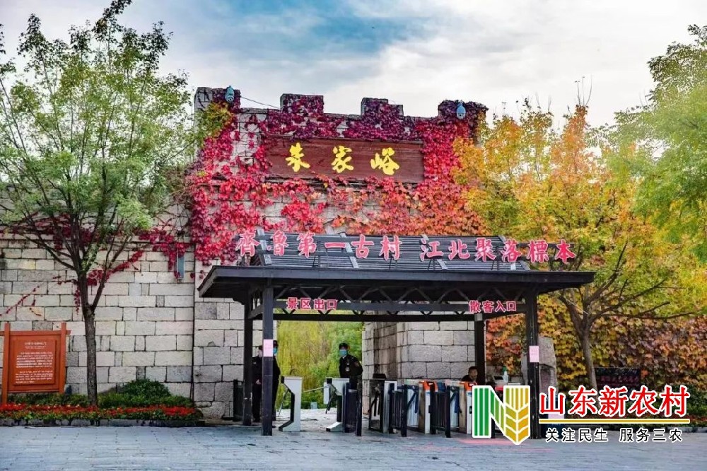 图片3.jpg