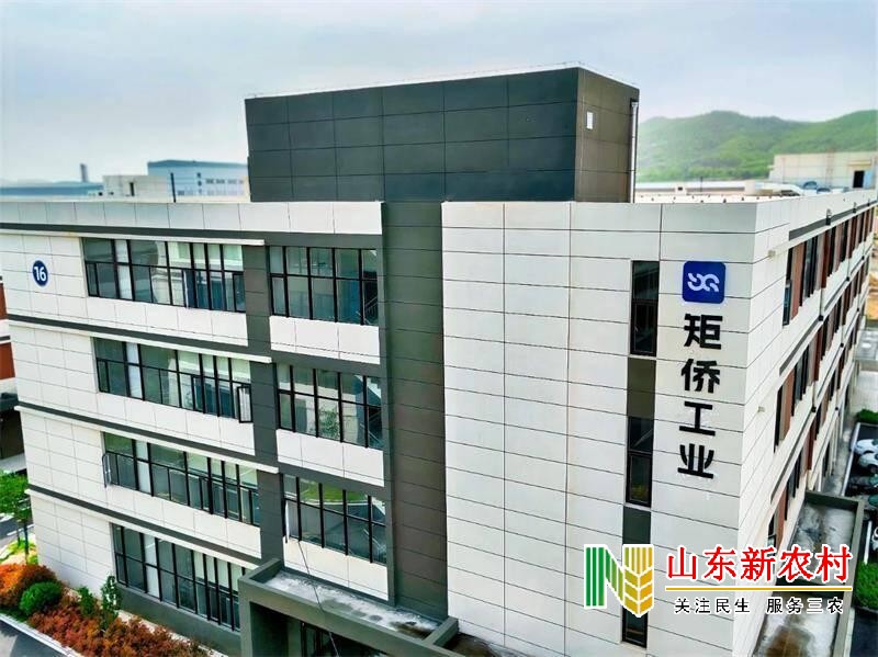 临港区：多部门协同服务 助力企业发展再上新台阶