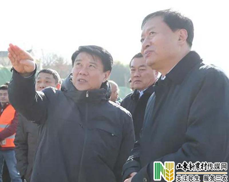 崔洪刚调研重点道路建设情况时强调：强化质量管理 打造精品工程