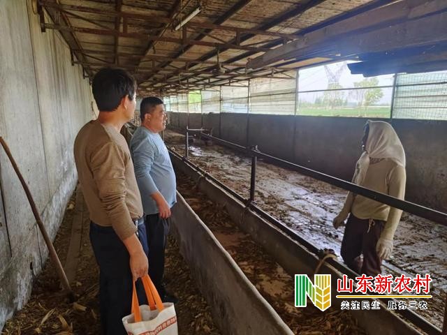 阳信县洋湖乡：开展畜禽养殖粪污治理 助力农村人居环境提升
