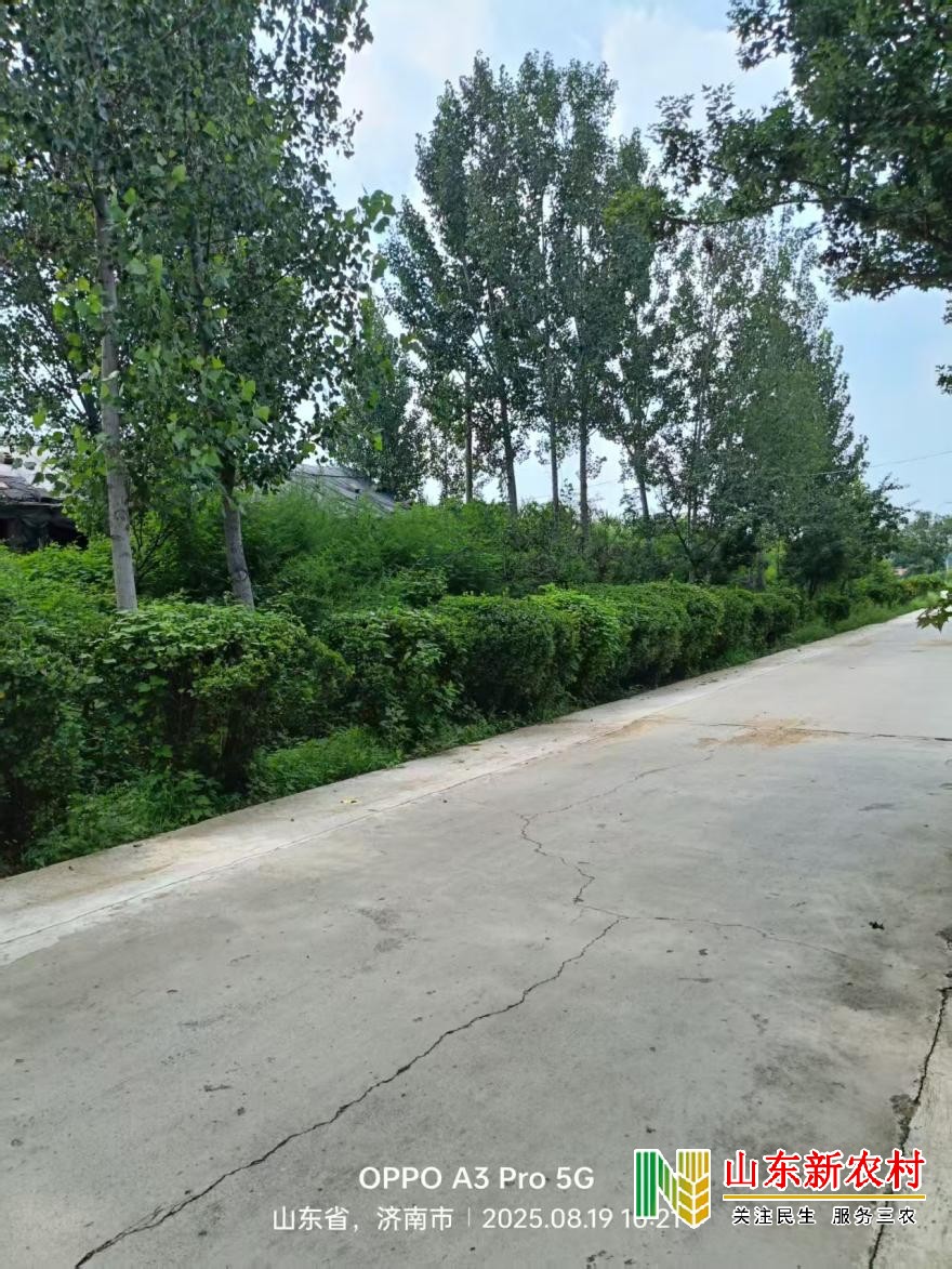 微信图片_20250820084153_279(1).jpg