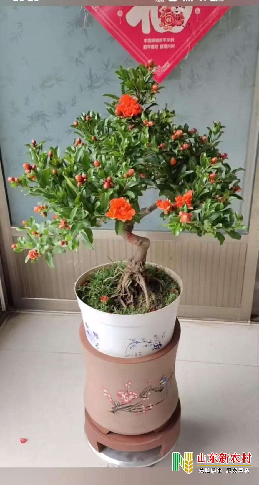 微信图片_20250918054727_438_83(1).jpg