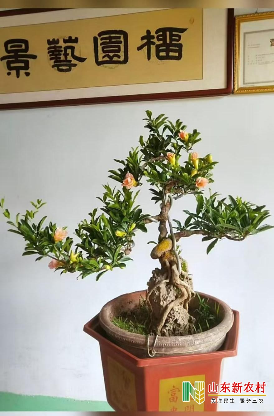 微信图片_20250918054728_441_83(1).jpg