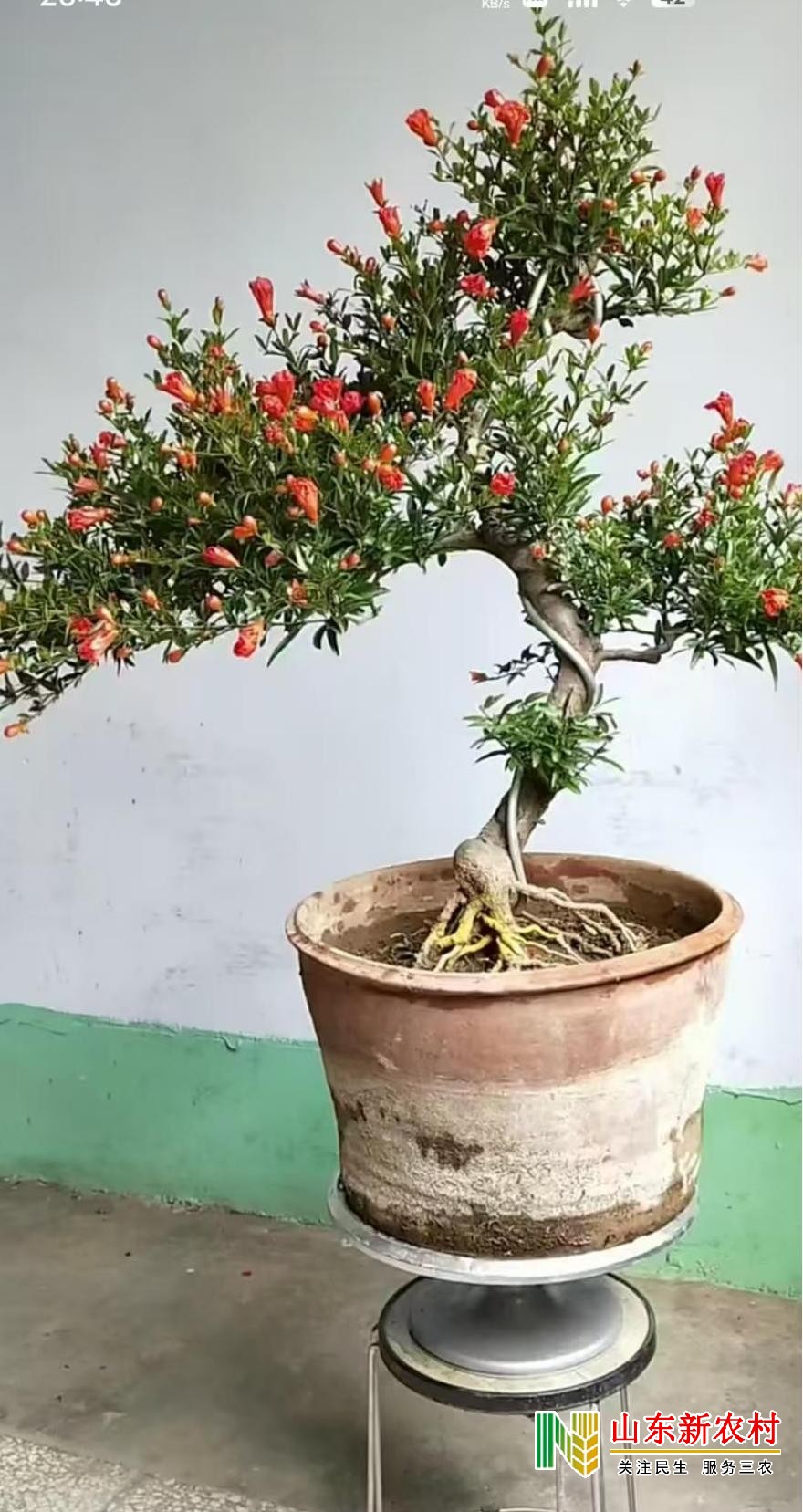 微信图片_20250918054729_443_83(1).jpg