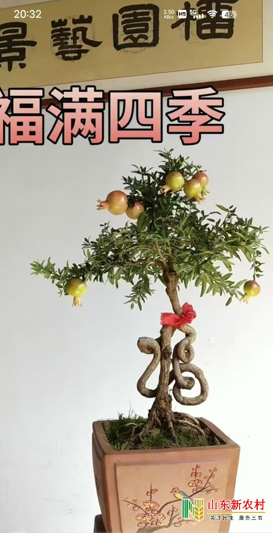 微信图片_20250918054730_445_83(1).jpg
