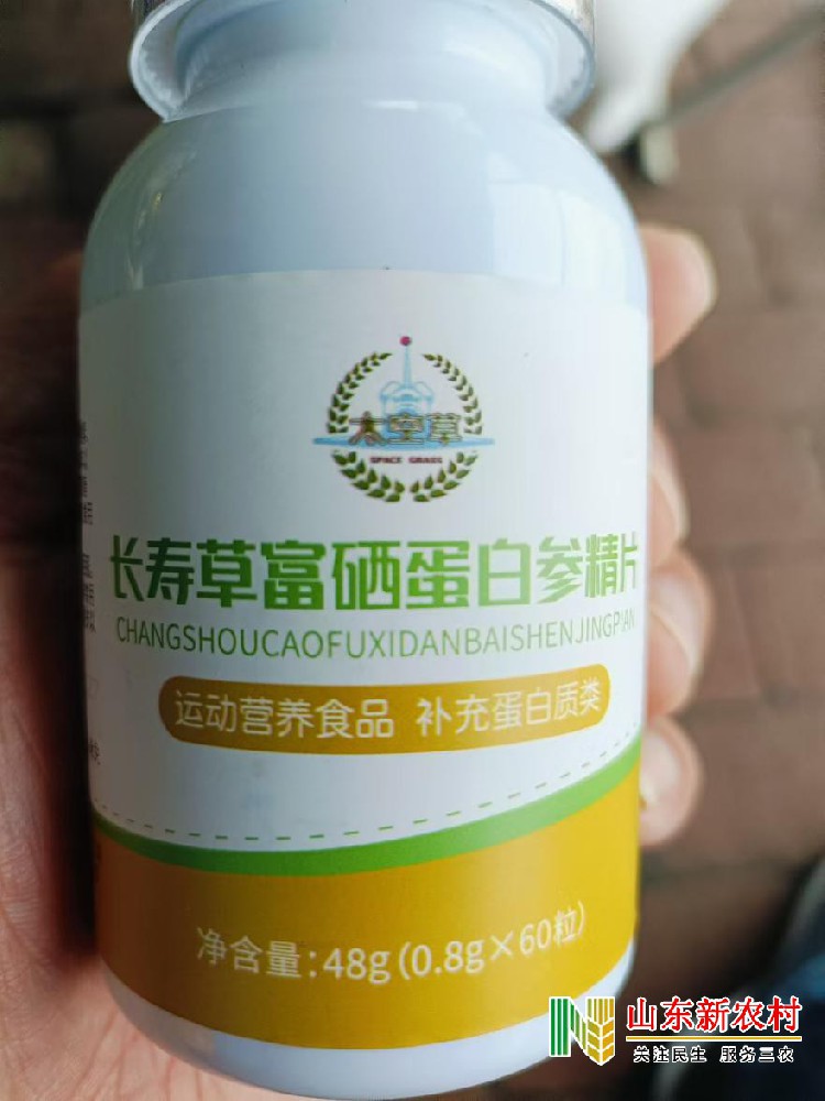 访太空菜种植专业户—张洪奎