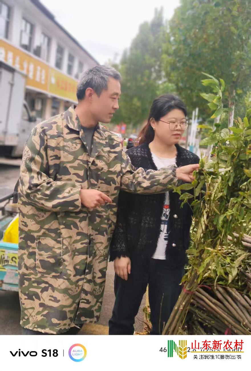 微信图片_20251104103954_581_83(1).jpg