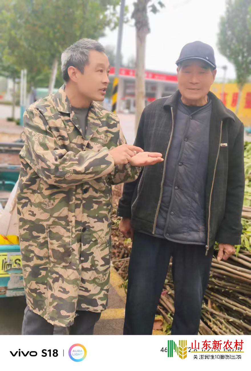 微信图片_20251104103955_582_83(1).jpg