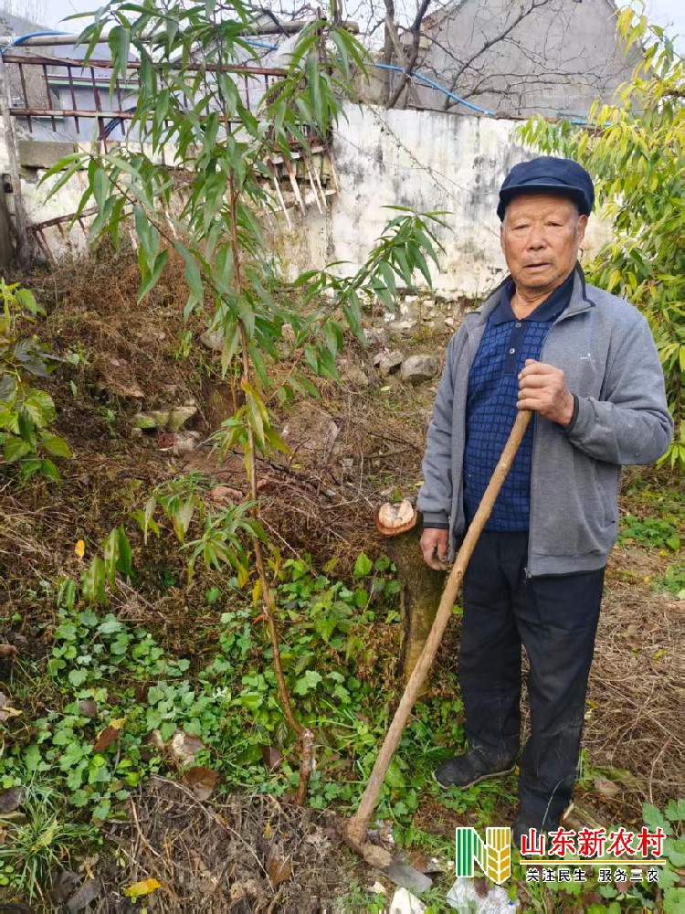 山楂红过桃香浓 劳模护航钱袋丰                  ——记省劳模张华斋